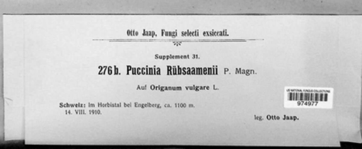 Puccinia thymi image